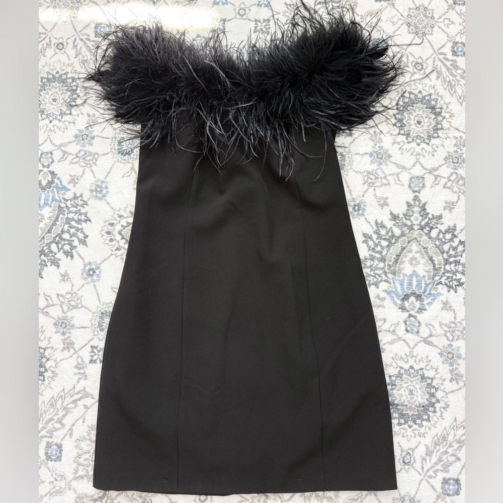 Elegant Black Feathered Off the Shoulder Dress